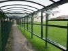 Bailey Green Nursery - 11