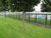 Bailey Green Nursery - 3